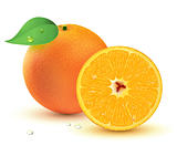 Fresh juicy oranges 