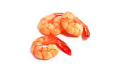 shrimps on white