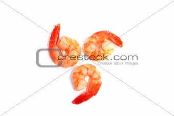 shrimps on white