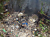 water pollution in river