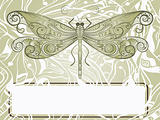 vector hand drawn beautiful dragonfly on abstract background