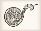 vector hand drawn monochrome snail