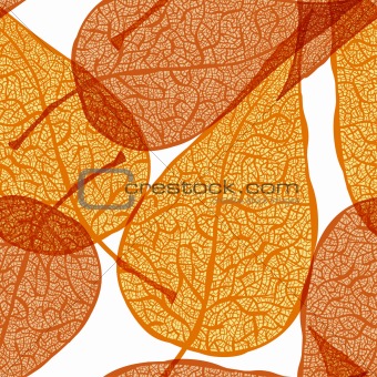 vector background with autumn leaves