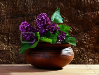 Branch of lilac in a ceramic vase.