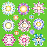 Colorful flower collection