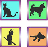 Set of pet icons 01