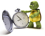 Tortoise with a classic pocket watch