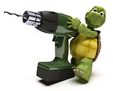 Tortoise with power drill