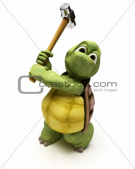 Tortoise with a sledge hammer