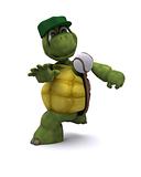 Tortoise playing basball