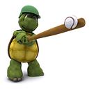 Tortoise playing basball