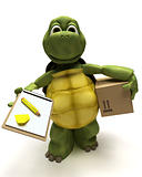 tortoise delivering a parcel