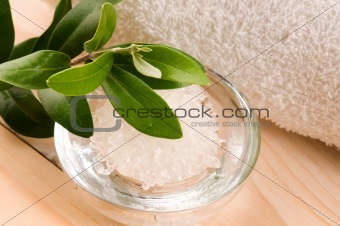 Sea Salt With Fresh Olive Branch. Spa And Wellness 