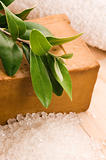 Natural Olive Soap With Fresh Branch
