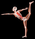 Female skeleton in yoga position