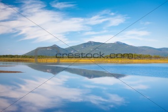 Russian, Primorye, blue reflection