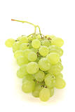 bright grapes