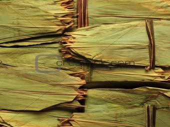 dried bamboo leaf for wrapping chinese meat dumplings