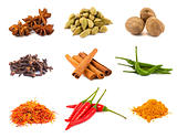 Collection of various spices 