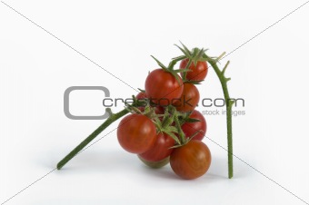 Cherry tomatoes with stem