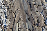 texture on dry land