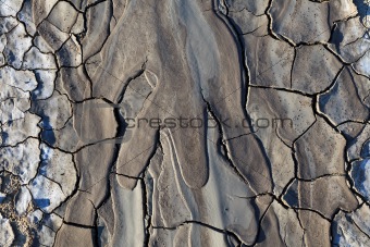 texture on dry land