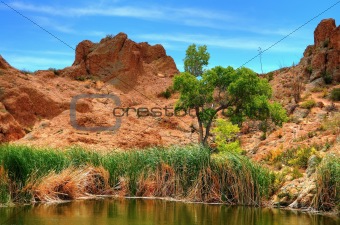 Desert Pond 