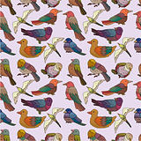 cartoon bird seamless pattern

