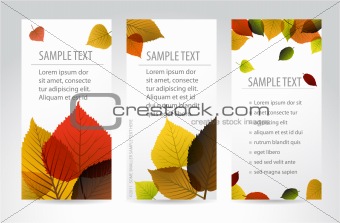 Fresh natural autumn vertical banners with leafs