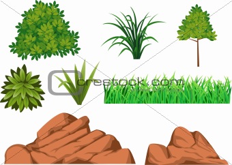 Bush, grass and rock