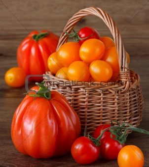 Fresh garden tomatoes.