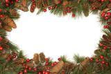 Christmas border of pine branches