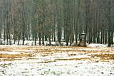 wildlife watching hut in winter forest