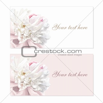 Set of flower greeting cards