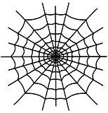 Black spiderweb isolated