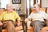 Senior men relaxing in armchairs