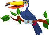 Toucan sitting on tree branch