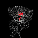 Stylized flower on black background