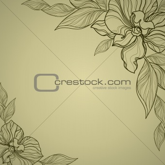 Vector vintage frame with flowers - orchid