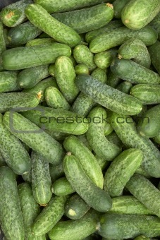 Heap of green cucumbers