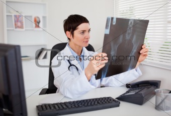 Young doctor looking at X-ray