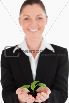 Charming woman in suit holding a small plant