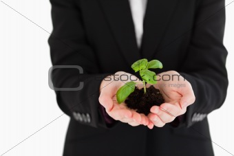 Woman in suit holding a small plant