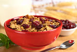 Wholewheat Cereal with Dried Cranberries