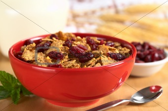 Wholewheat Cereal with Dried Cranberries