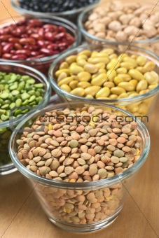 Lentils and Other Legumes