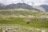 Alpine Meadows