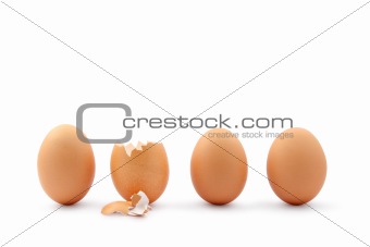 Four eggs, one hatched