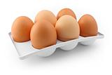 Six-pack of eggs