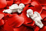 Two angels sleeping in valentine rose petals